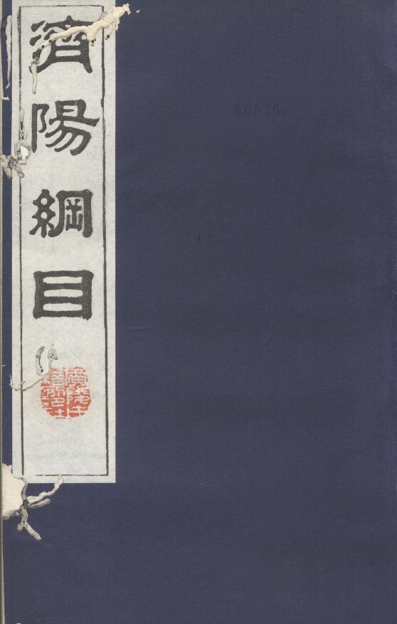 济阳纲目  卷101-108 封面
