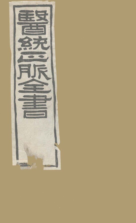 医通正脉全书  丹溪心法  卷1 封面