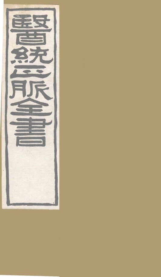 医通正脉全书  活法机要 封面
