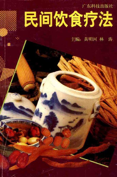 民间饮食疗法 封面