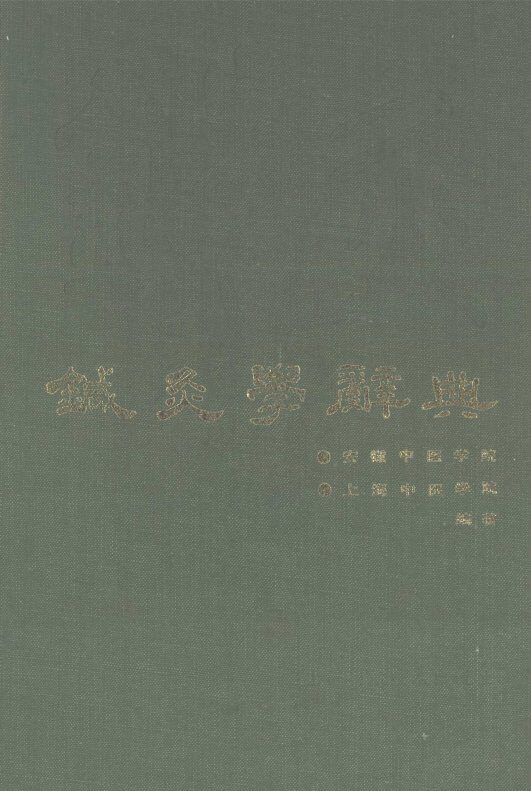 针灸学辞典 封面