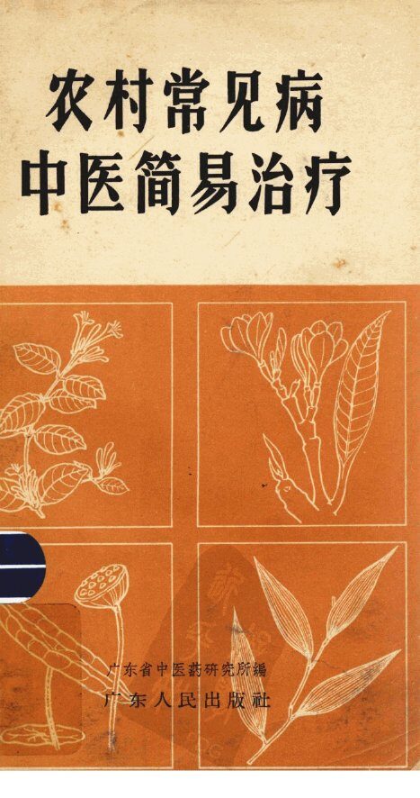 农村常见病  中医简易治疗 封面