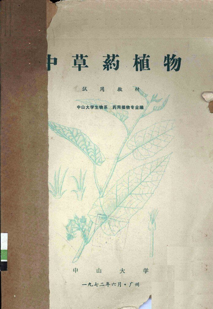 中草药植物  试用教材 封面