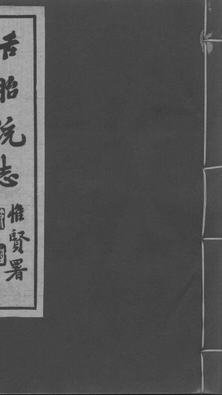 舌胎统志 封面