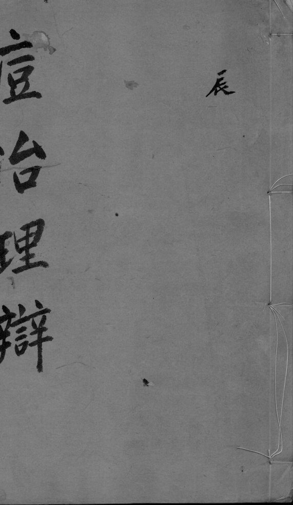 痘治理辨  2 封面
