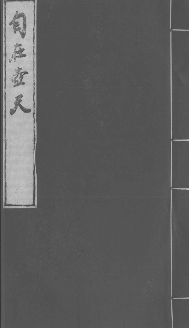 自在壶天  8 封面