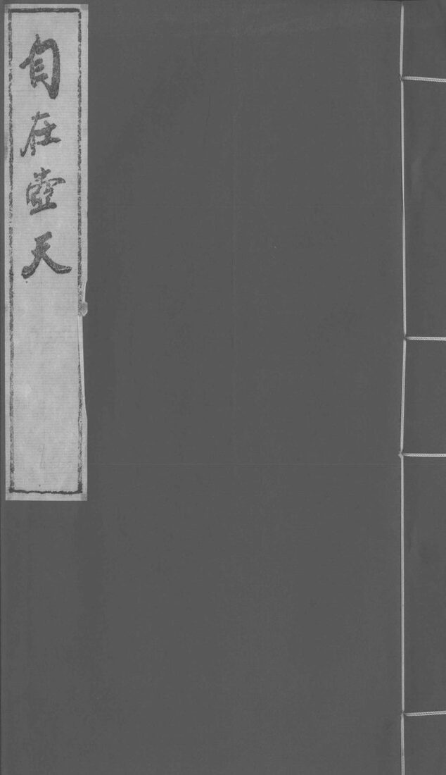自在壶天  9 封面
