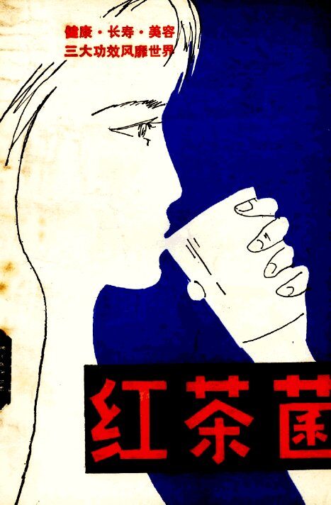 红茶菌：吉林中医药红茶菌专号 封面