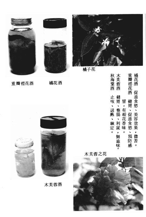 药酒制作法 封面