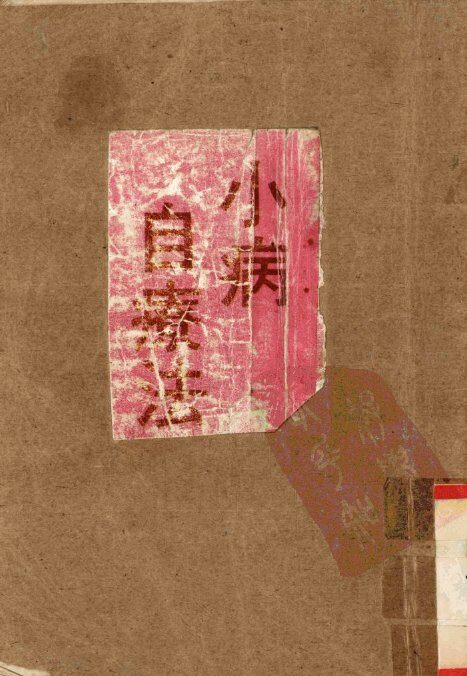 小病自疗法 封面