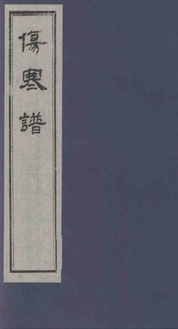 伤寒谱 封面