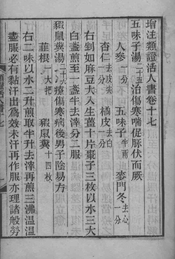 伤寒类证活人书  卷17 封面