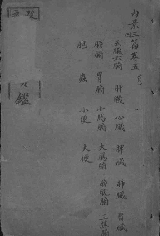东医宝鉴  卷5-6 封面