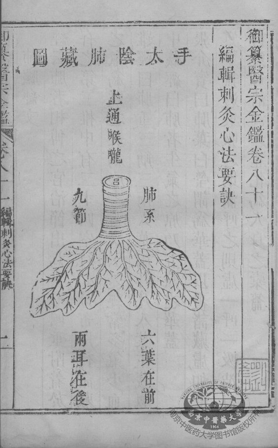医宗金鉴  卷81-82 封面