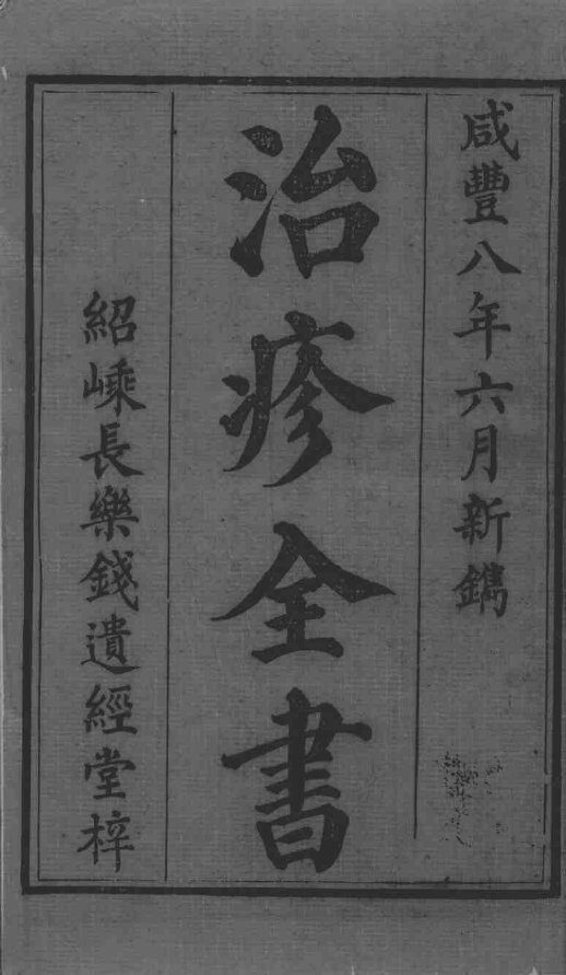 治疹全书 封面