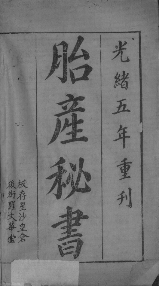 胎产秘书 封面