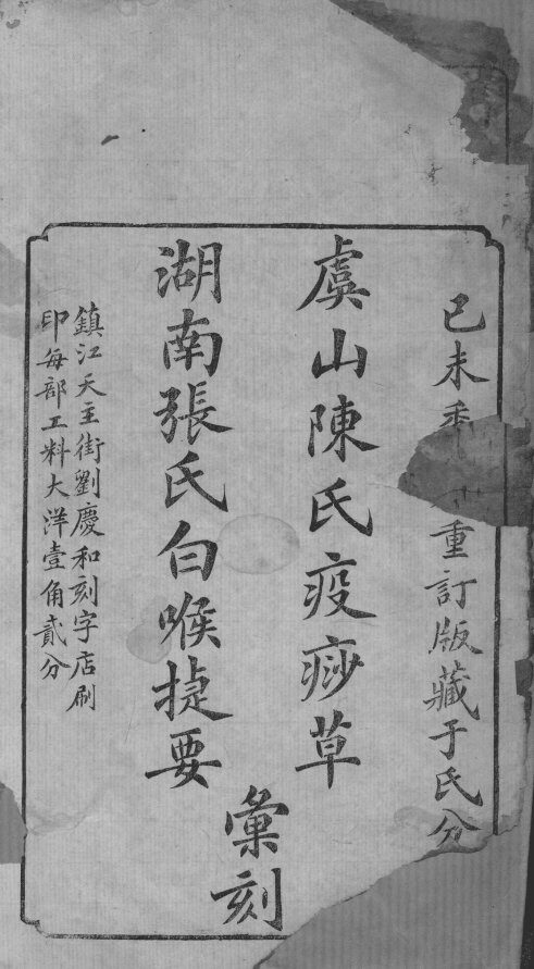 疫痧草 封面