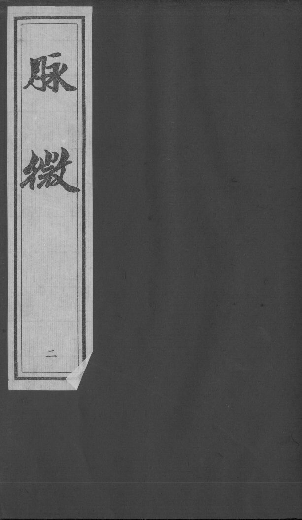 医学脉灯  脉微  2 封面