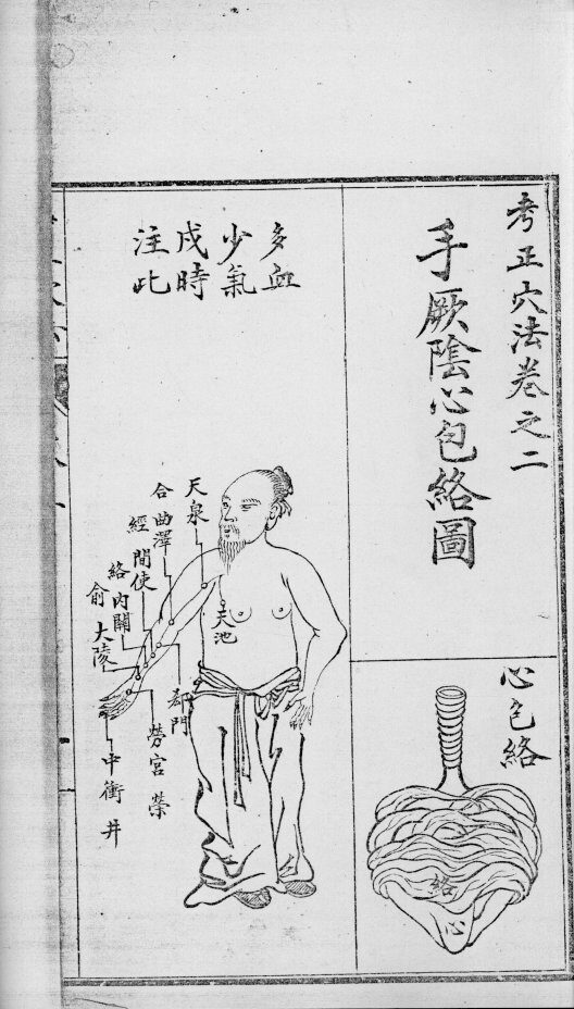 绘图针灸传真 封面