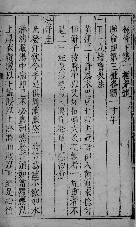 伤寒图歌活人指掌  卷6 封面