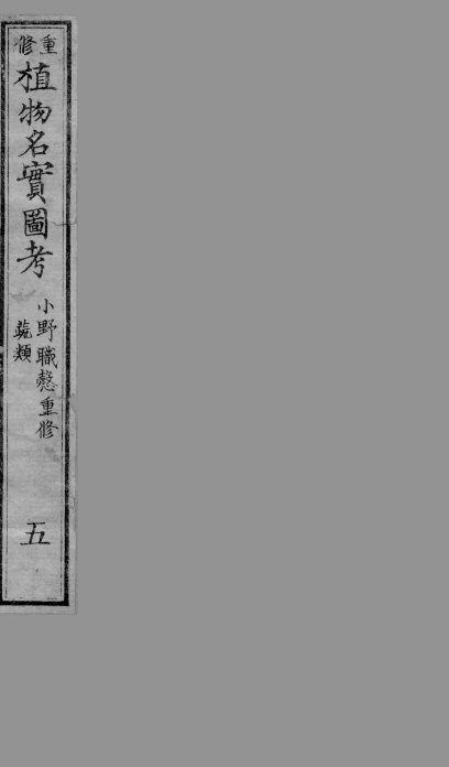 植物名实图考  5 封面