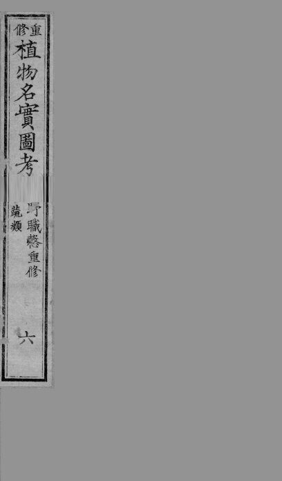 植物名实图考  6 封面