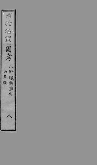 植物名实图考  8 封面