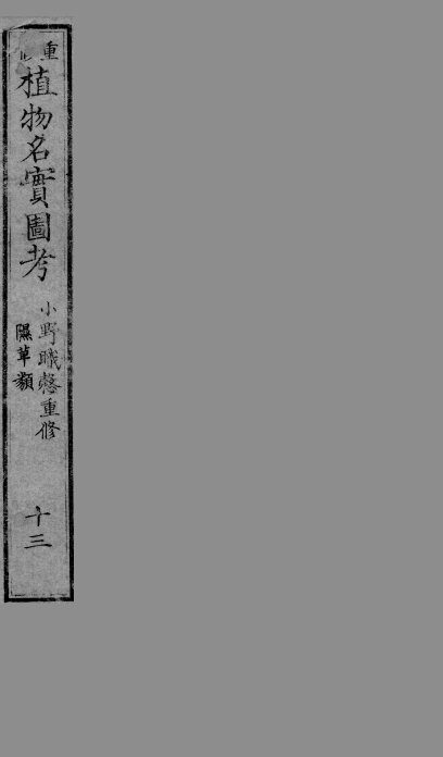植物名实图考  13 封面