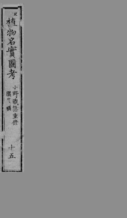 植物名实图考  15 封面