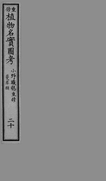 植物名实图考  20 封面
