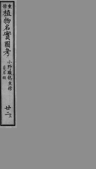 植物名实图考  22  上 封面