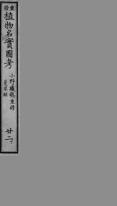 植物名实图考  22  下 封面