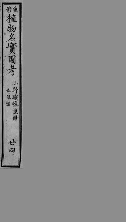 植物名实图考  24  下 封面