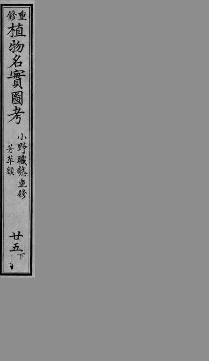 植物名实图考  25  下 封面