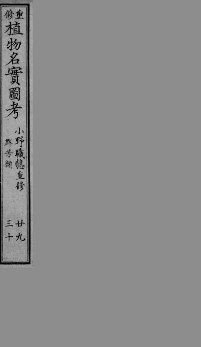 植物名实图考  29-30 封面