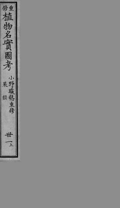 植物名实图考  31  上 封面