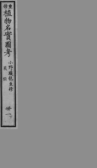 植物名实图考  31  下 封面