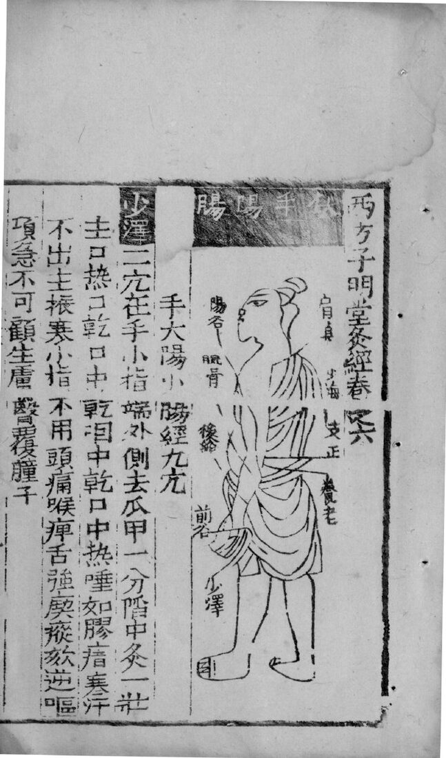 新编西方子明堂灸经  卷6 封面