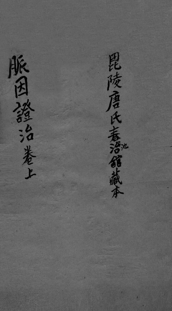脉因证治  上 封面