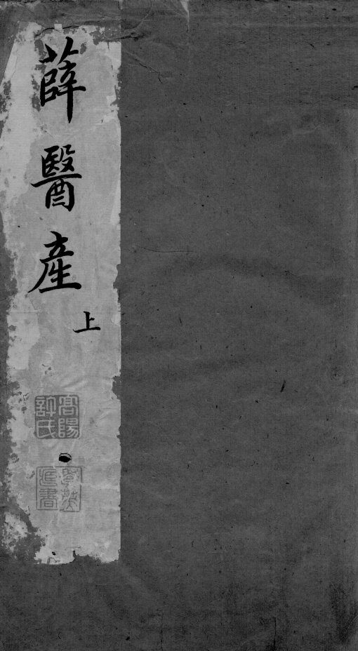 薛医产  上 封面