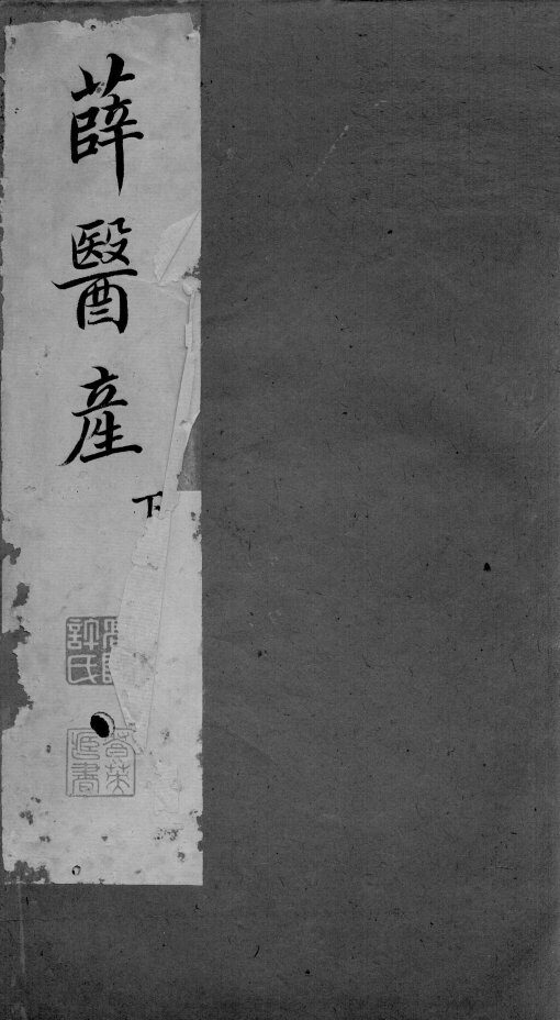 薛医产  下 封面