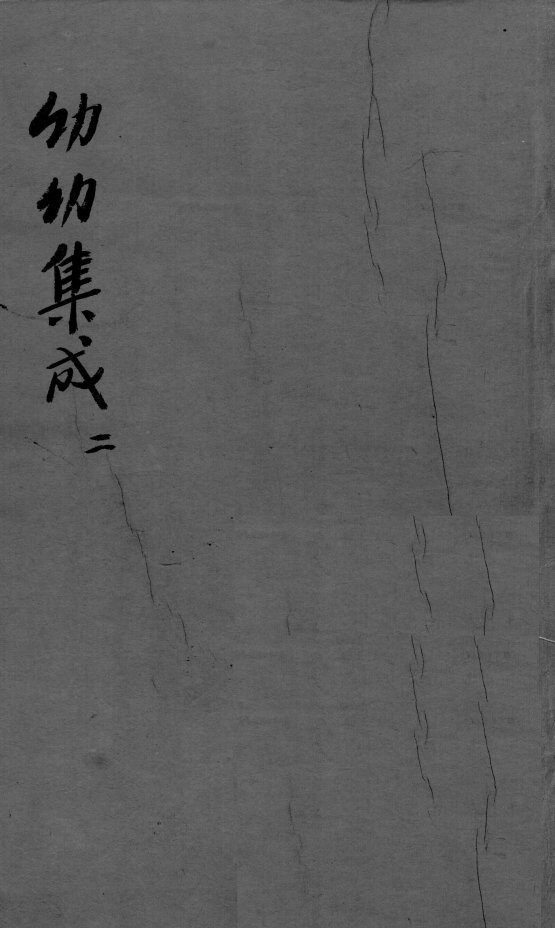 幼科集成  2 封面