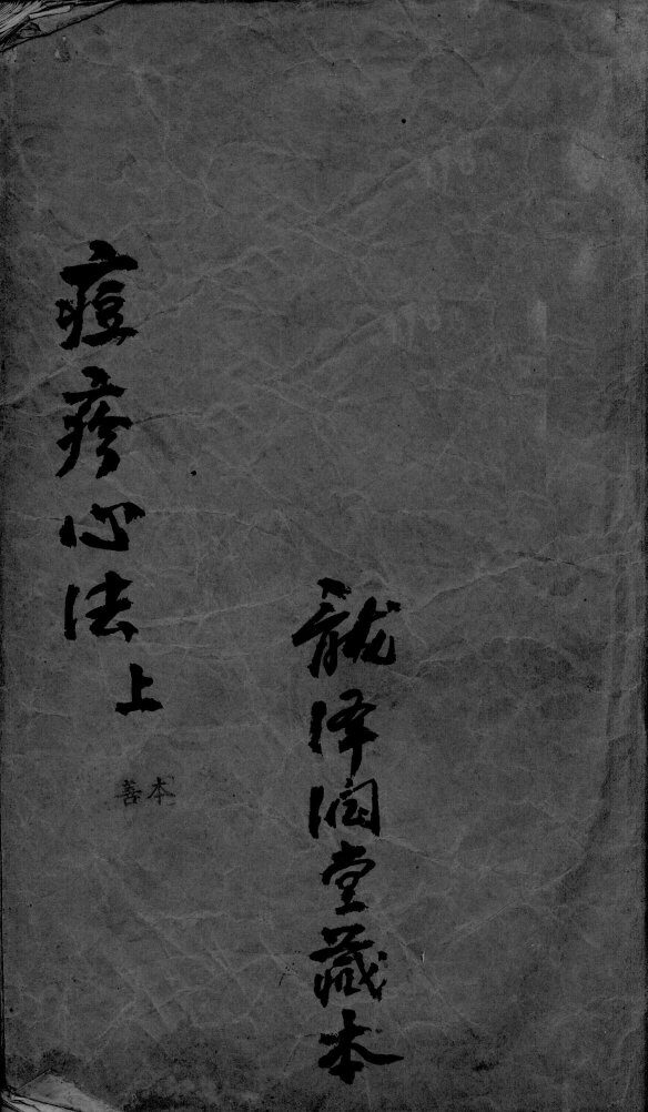 痘疹世医心法  上 封面