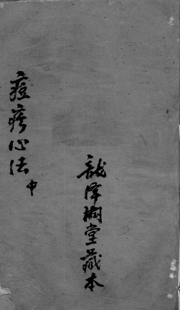 痘疹世医心法  中 封面