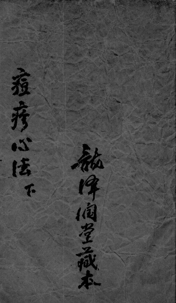 痘疹世医心法  下 封面