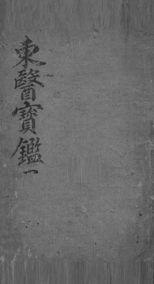 东医宝鉴  1 封面