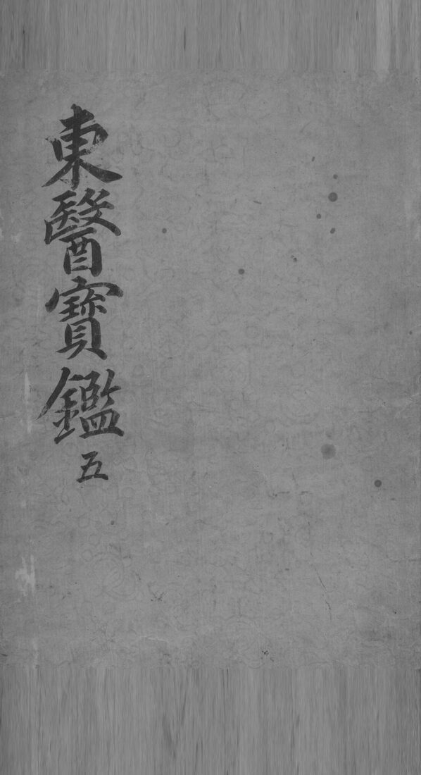 东医宝鉴  5 封面