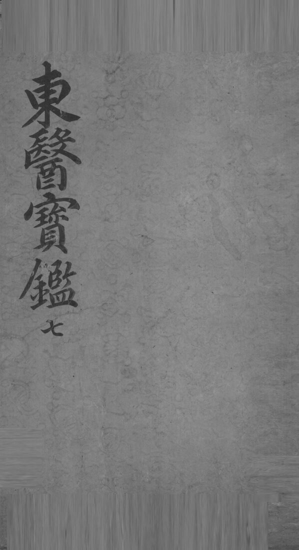 东医宝鉴  7 封面