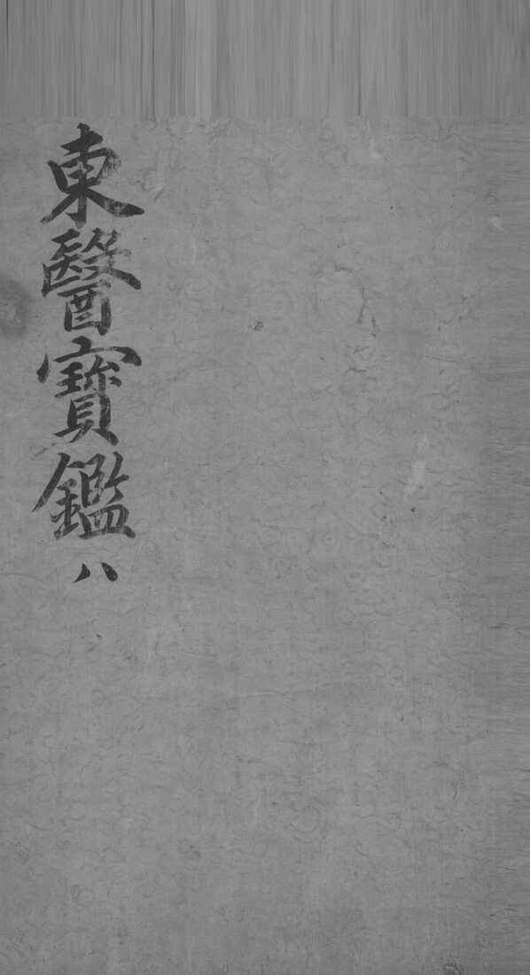 东医宝鉴  8 封面