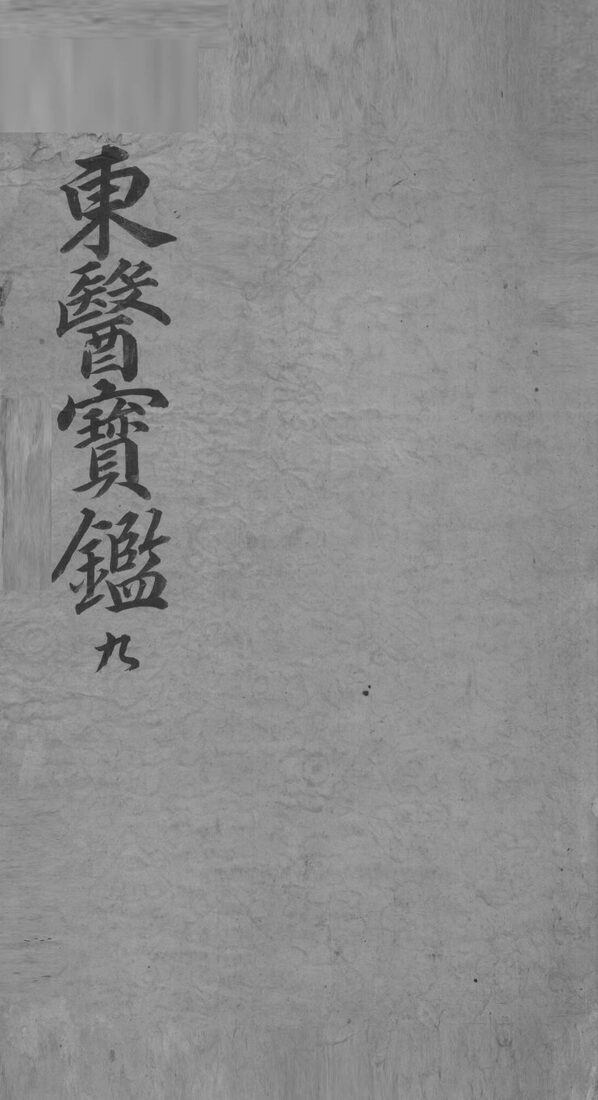东医宝鉴  9 封面